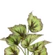 Artificial Garden BEGONIA LEAVES ROOTED 21491 Τεχνητό Διακοσμητικό Φυτό Πολύχρωμη Βιγόνια Μ25 x Π14 x Υ35cm