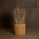 Artificial Garden BARBADOS 21499 Διακοσμητικό Πλεκτό Καλάθι - Κασπώ Γλάστρα - Flower Pot Μπεζ Μ28 x Π28 x Υ26cm Artificial Garden BARBADOS 21499 Διακοσμητικό Πλεκτό Καλάθι - Κασπώ Γλάστρα - Flower Pot Μπεζ Μ28 x Π28 x Υ26cm
