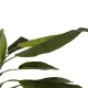 Artificial Garden BANANA TREE 21500 Τεχνητό Διακοσμητικό Δέντρο Μπανανιάς Υ300cm