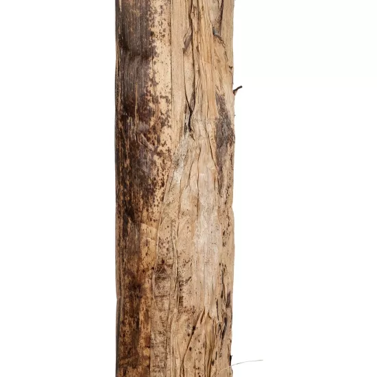 Artificial Garden BANANA TREE 21500 Τεχνητό Διακοσμητικό Δέντρο Μπανανιάς Υ300cm