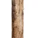 Artificial Garden BANANA TREE 21500 Τεχνητό Διακοσμητικό Δέντρο Μπανανιάς Υ300cm
