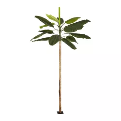 Artificial Garden BANANA TREE 21502 Τεχνητό Διακοσμητικό Δέντρο Μπανανιάς Υ500cm