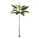 Artificial Garden BANANA TREE 21502 Τεχνητό Διακοσμητικό Δέντρο Μπανανιάς Υ500cm Artificial Garden BANANA TREE 21502 Τεχνητό Διακοσμητικό Δέντρο Μπανανιάς Υ500cm