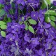 Artificial Garden VIOLET WISTERIA FLOWER BRANCH 21509 Σετ 12 Τεχνητά Διακοσμητικά κλαδιά Βιστέριας Βιολετί Φ45 x Υ120cm