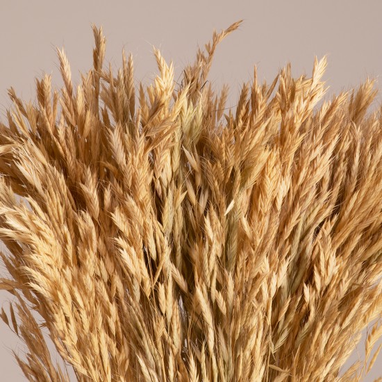 WHEAT 36550 Αποξηραμένο Φυτό Σίτος - Μπουκέτο Διακοσμητικών Κλαδιών Μπεζ Υ60cm