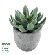 Artificial Garden SUCCULENT SEDEVERIA 21025 Διακοσμητικό Φυτό Παχύφυτο Σεντεβέρια Υ10.5cm