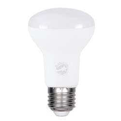 SPOTBULB 60078 Λάμπα E27 R63 LED 10W 1000lm 120° AC 220-240V IP20 Ψυχρό Λευκό 6000K - Lumileds SMD Chip - Λευκό Γαλακτερό - Μ6.3 x Π6.3 x Υ10.4cm - 3 Χρόνια Εγγύηση