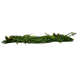 BOXWOOD 78409 Τεχνητό Πάνελ Φυλλωσιάς Κάθετος Κήπος Πυξάρι/Φτέρη/Περεσκία - Πράσινο - Μ60 x Π7 x Υ40cm