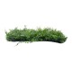 LEYLAND 78413 Artificial Wall Plant Panel / Vertical Garden Leyland & Dwarf Ivy - Green - L60 x W9 x H40cm