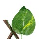 Artificial Garden GOLDEN POTHOS 78496 Πτυσσόμενη Πέργκολα Τεχνητής Φυλλωσιάς - Κάθετος Κήπος Σύνθεση Πόθος Μ110 x Π10 x Υ120cm (min) Μ310 x Π10 x Υ45cm (max)