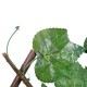 Artificial Garden VINE LEAVES 78499 Πτυσσόμενη Πέργκολα Τεχνητής Φυλλωσιάς - Κάθετος Κήπος Σύνθεση Αμπελόφυλλο Μ110 x Π10 x Υ120cm (min) Μ310 x Π10 x Υ45cm (max)