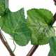 Artificial Garden VINE LEAVES 78499 Πτυσσόμενη Πέργκολα Τεχνητής Φυλλωσιάς - Κάθετος Κήπος Σύνθεση Αμπελόφυλλο Μ110 x Π10 x Υ120cm (min) Μ310 x Π10 x Υ45cm (max)