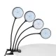 79655 Grow Light Hydro Spectrum LED Φωτιστικό Ανάπτυξης Υδροπονικών Φυτών Γλάστρας με 4 Κινούμενες Κεφαλές & Βάση Clip SMD 2835 20W 160° DC 5V IP20 με Dimmer & Timer Εσωτερικού Χώρου για Κάλυψη Επιφάνειας 1m x 1m Πλήρους Φάσματος Φωτισμού 79655 Grow Light Hydro Spectrum LED Φωτιστικό Ανάπτυξης Υδροπονικών Φυτών Γλάστρας με 4 Κινούμενες Κεφαλές & Βάση Clip SMD 2835 20W 160° DC 5V IP20 με Dimmer & Timer Εσωτερικού Χώρου για Κάλυψη Επιφάνειας 1m x 1m Πλήρους Φάσματος Φωτισμού
