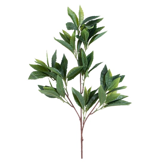 Artificial Garden LAURUS NOBILIS BRANCH 20225 10 x Τεχνητά Διακοσμητικά Κλαδία Δάφνης Π45 x Υ60cm