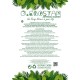 Artificial Garden BEGONIA LEAVES ROOTED 21489 Τεχνητό Διακοσμητικό Φυτό Πολύχρωμη Βιγόνια Μ25 x Π14 x Υ35cm