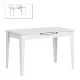 Τραπέζι Trendline  επεκτεινόμενο χρώμα λευκό 120/150x70x75εκ.