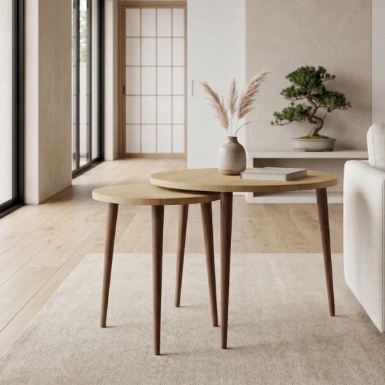 Τραπεζάκι σαλονιού σετ 2 τμχ Nola  χρώμα sapphire oak Ø60x46εκ.