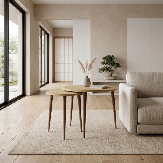 Τραπεζάκι σαλονιού σετ 2 τμχ Nola  χρώμα sapphire oak Ø60x46εκ.