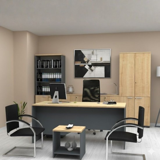 Ντουλάπα γραφείου επαγγελματική Venturo  χρώμα ανθρακί - φυσικό οξιάς 80x40x200εκ.