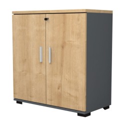 Ντουλάπι γραφείου επαγγελματικό Venturo  χρώμα ανθρακί - φυσικό οξιάς 80x40x80εκ.