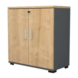 Ντουλάπι γραφείου με κλειδαριά επαγγελματικό Venturo  χρώμα ανθρακί - φυσικό οξιάς 80x40x80εκ.