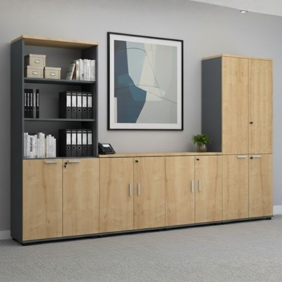 Ντουλάπι γραφείου επαγγελματικό Venturo  χρώμα ανθρακί - φυσικό οξιάς 80x40x80εκ.