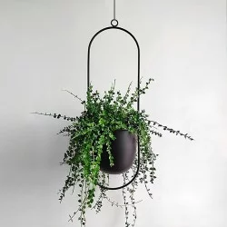 Βάση - ζαρντινιέρα κρεμαστή μεταλλική για φυτά εσωτερικού και εξωτερικού χώρου χρώμα μαύρο Φ15εκ.