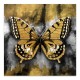Πίνακας σε καμβά "Golden Butterfly" ψηφιακής εκτύπωσης 60x60x3εκ. Πίνακας σε καμβά "Golden Butterfly" ψηφιακής εκτύπωσης 60x60x3εκ.