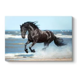 Πίνακας σε καμβά "Black Horse"  ψηφιακής εκτύπωσης 100x70x3εκ.