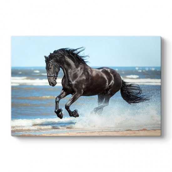 Πίνακας σε καμβά "Black Horse"  ψηφιακής εκτύπωσης 100x70x3εκ.