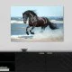 Πίνακας σε καμβά Black Horse  ψηφιακής εκτύπωσης 100x70x3εκ.