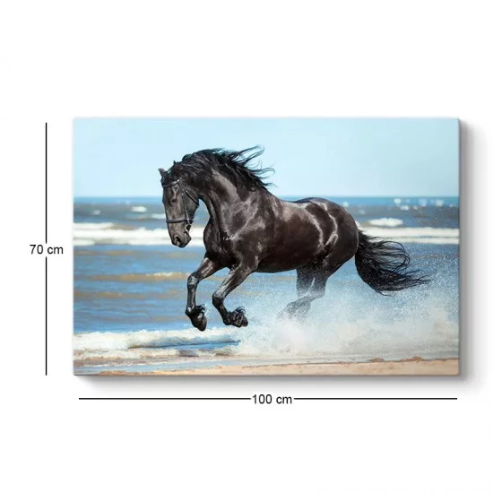 Πίνακας σε καμβά Black Horse  ψηφιακής εκτύπωσης 100x70x3εκ.