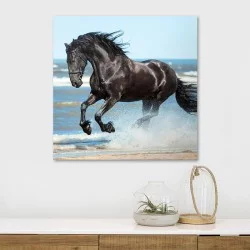 Πίνακας σε καμβά "Black Horse"  ψηφιακής εκτύπωσης 60x60x3εκ.