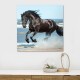 Πίνακας σε καμβά "Black Horse" ψηφιακής εκτύπωσης 60x60x3εκ. Πίνακας σε καμβά "Black Horse" ψηφιακής εκτύπωσης 60x60x3εκ.