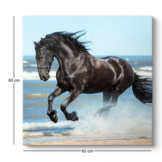 Πίνακας σε καμβά "Black Horse" ψηφιακής εκτύπωσης 60x60x3εκ. Πίνακας σε καμβά "Black Horse" ψηφιακής εκτύπωσης 60x60x3εκ.