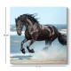 Πίνακας σε καμβά "Black Horse" ψηφιακής εκτύπωσης 60x60x3εκ. Πίνακας σε καμβά "Black Horse" ψηφιακής εκτύπωσης 60x60x3εκ.