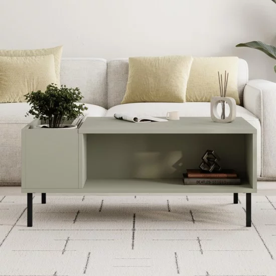 Τραπεζάκι σαλονιού Vena  χρώμα ash green 100x60x42εκ.