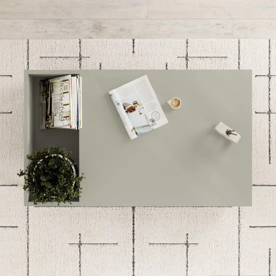 Τραπεζάκι σαλονιού Vena  χρώμα ash green 100x60x42εκ.