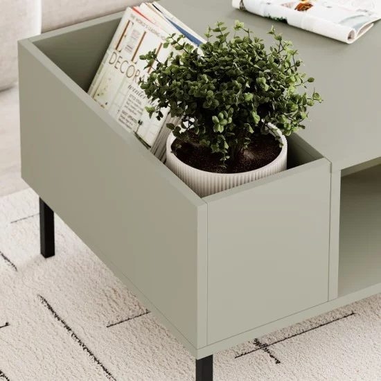 Τραπεζάκι σαλονιού Vena  χρώμα ash green 100x60x42εκ.