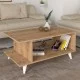 Τραπεζάκι σαλονιού Titus  χρώμα sapphire oak 100x60x45εκ.