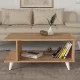 Τραπεζάκι σαλονιού Titus  χρώμα sapphire oak 100x60x45εκ.