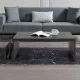 Τραπεζάκι σαλονιού Regnar χρώμα rebab 100,6x55x31,8εκ. Τραπεζάκι σαλονιού Regnar χρώμα rebab 100,6x55x31,8εκ.