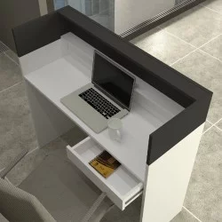 Γραφείο υποδοχής - reception Wilko  με LED χρώμα λευκό - ανθρακί 113,6x42x110εκ.