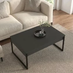 Τραπεζάκι σαλονιού Orontes  χρώμα ανθρακί 90x59,6x40εκ.