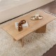 Τραπεζάκι σαλονιού Sabin  χρώμα sapphire oak 119x60x40εκ.