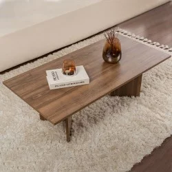 Τραπεζάκι σαλονιού Sabin  χρώμα καρυδί 119x60x40εκ.