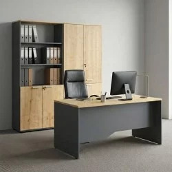 Ντουλάπα γραφείου με κλειδαριά επαγγελματική Venturo  χρώμα ανθρακί - φυσικό οξιάς 160x40x200εκ.