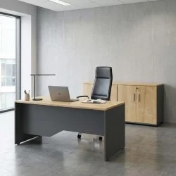 Ντουλάπι γραφείου με κλειδαριά επαγγελματικό Venturo  χρώμα ανθρακί - φυσικό οξιάς 160x40x80εκ.