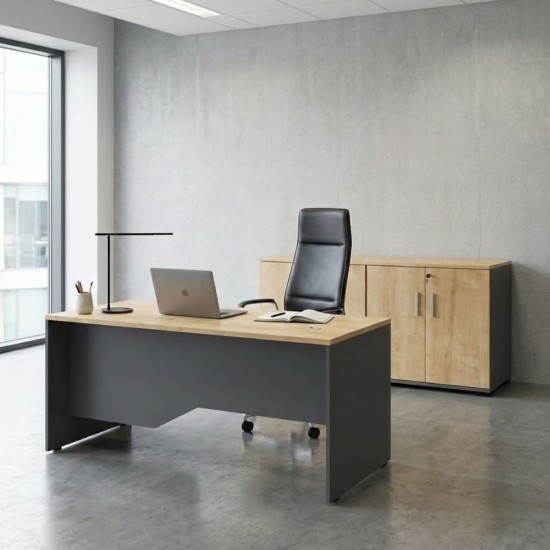 Ντουλάπι γραφείου με κλειδαριά επαγγελματικό Venturo  χρώμα ανθρακί - φυσικό οξιάς 160x40x80εκ.