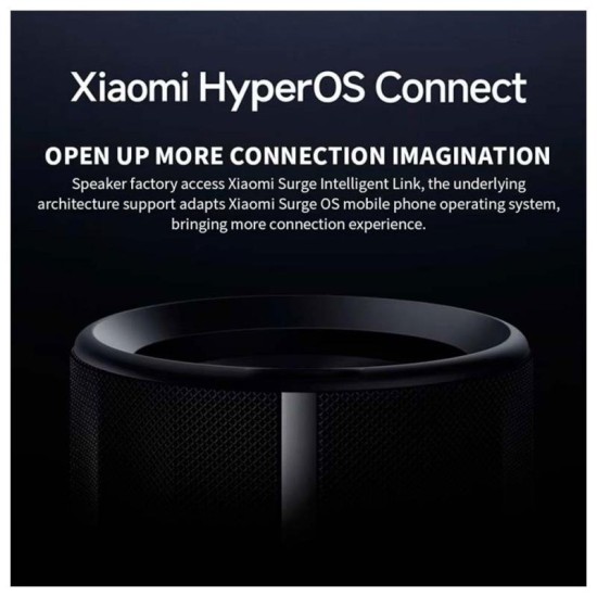 Φορητό Ηχείο Bluetooth Αδιάβροχο Xiaomi 40W Μαύρο Φορητό Ηχείο Bluetooth Αδιάβροχο Xiaomi 40W Μαύρο